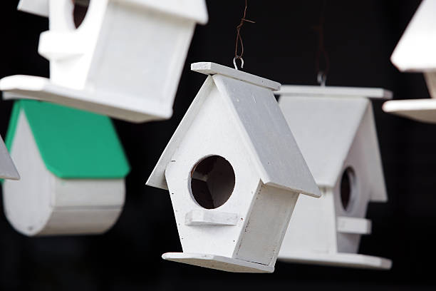 istock wooden bird house with black background. 637210520