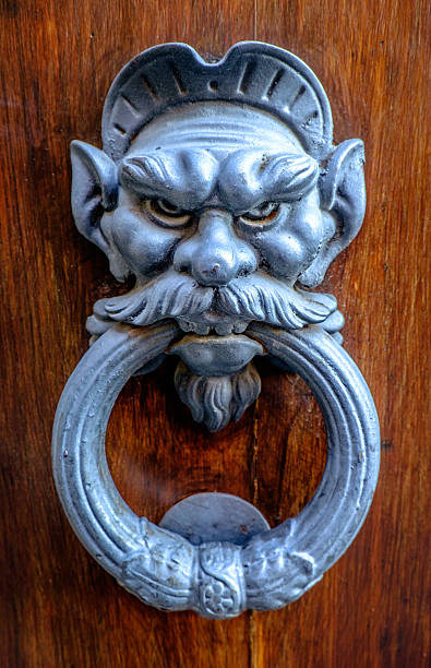 늙음 doorknocker - door knocker door lion luxury 뉴스 사진 이미지