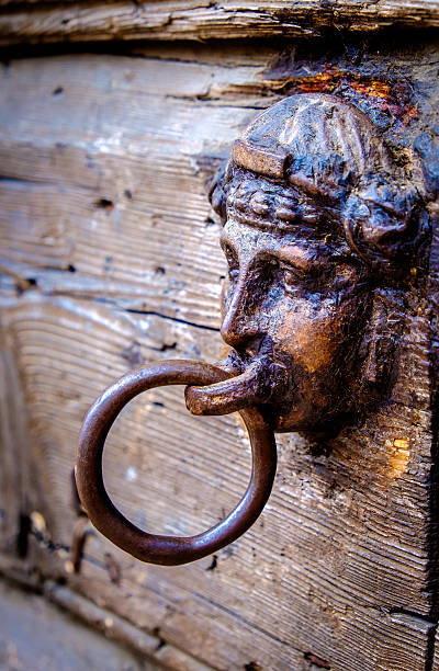 old doorknocker  - door knocker door lion luxury stock-fotos und bilder