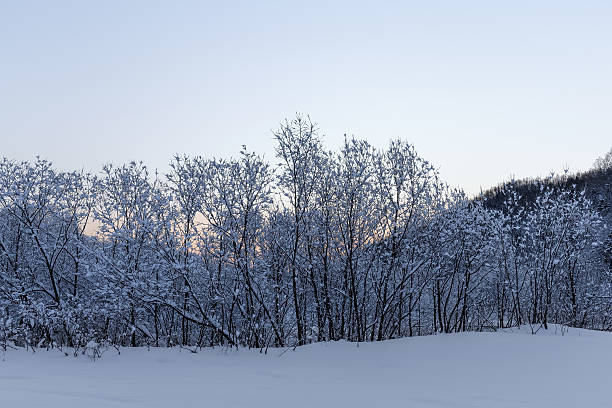 istock sunny frosty morning 637215068