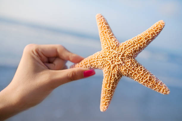 istock Woman holding starfish at the beach 637216724