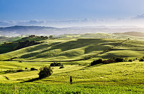 istock Spring landscape of fields Tuscany 637217900