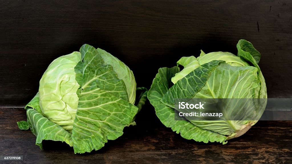 Green Cabbage Cabbage Stock Photo