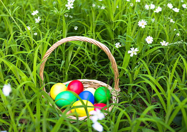 istock Basket of easter eggs on meadow, Closeup 637220184