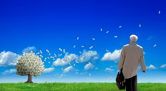 conceptual image of senior businessman holding briefcase on green landscape and money tree with flying money over clear sky