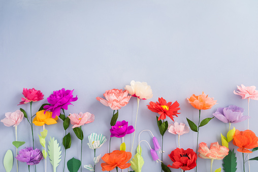 Imágenes de Flores De Colores | Descarga imágenes gratuitas en Unsplash