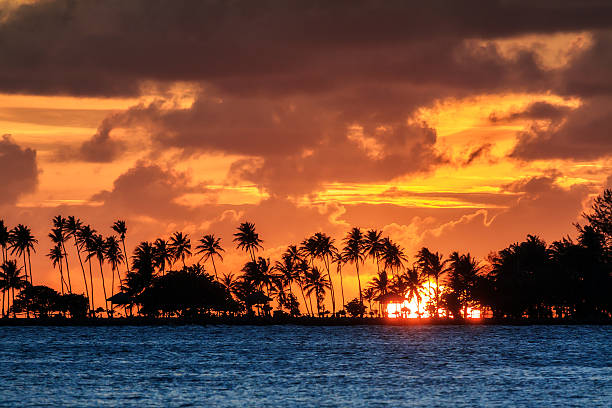 setting sun puerto rico - puerto de sol imagens e fotografias de stock