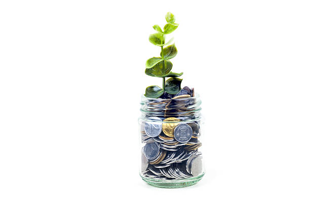 istock coins in jar with plant , savings concept 637225600