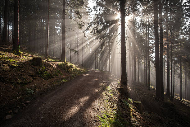 Autumn in german Mountains and Forests - During a hiking tour through some german average mountains I took this landscape, panorama and nature photographies. Location was close to Feldberg / Taunus - Frankfurt am Main.