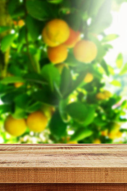 istock Wooden empty and blur orange garden background. 637227874