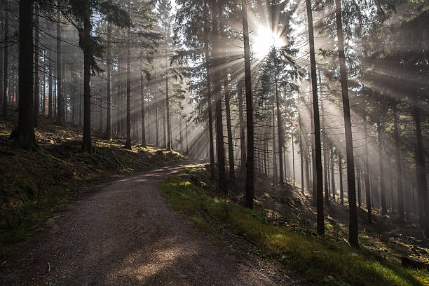 istock Autumn in german Mountains and Forests 637227898