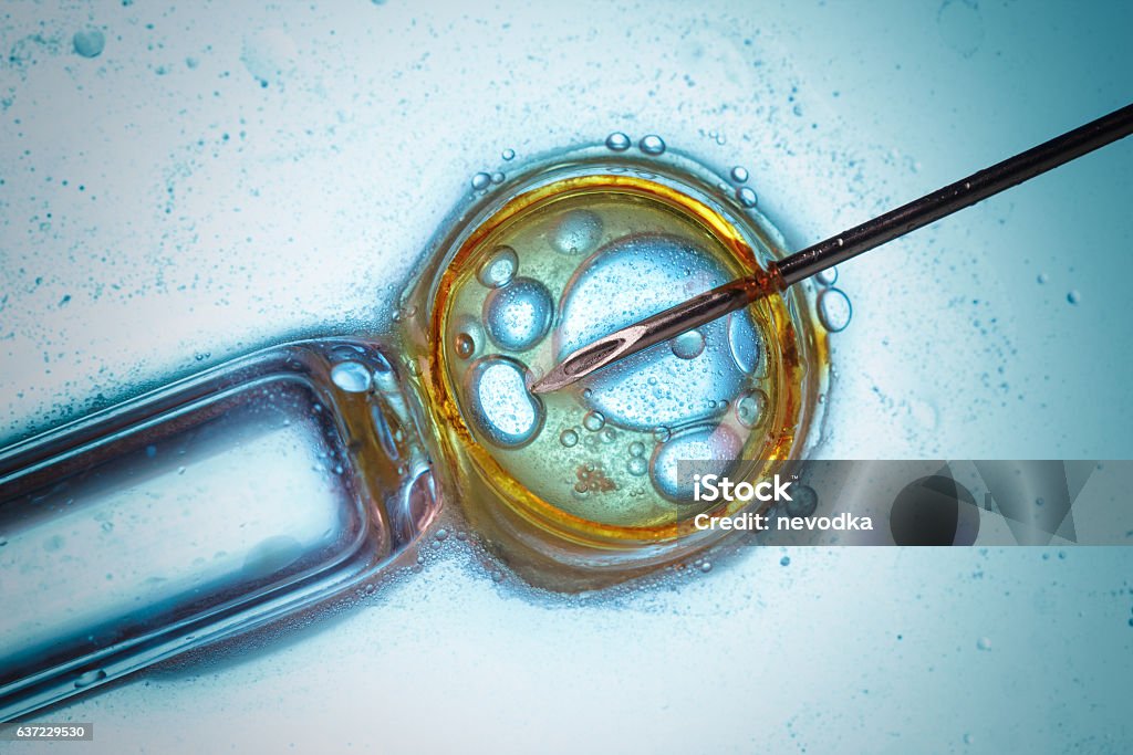 Mikroskopische Laborforschung - Lizenzfrei Medikament Stock-Foto