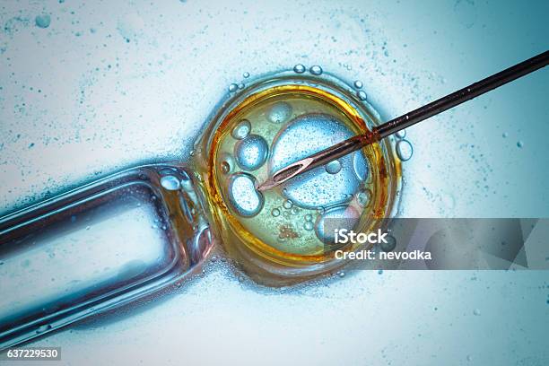 Mikroskopische Laborforschung Stockfoto und mehr Bilder von Medikament - Medikament, Biologie, Impfung