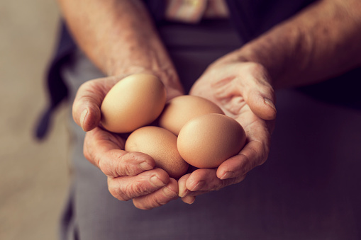 Close up of an elderly woman's hands, holding organic produced eggs. Selective focus