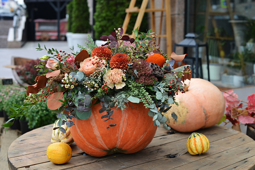 Floral arrangement of fresh flowers in a pumpkin, Halloween