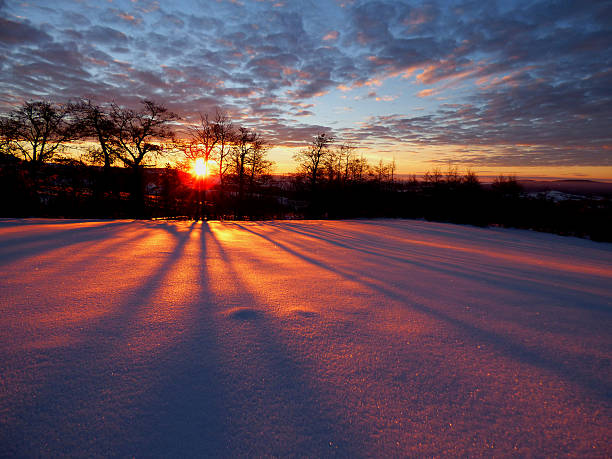 Winter morning sun rise long shadows of trees