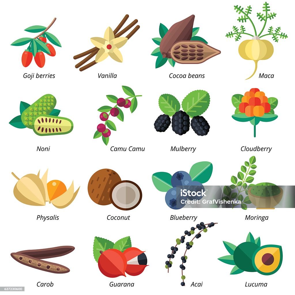 Set Of Superfood Fruits Vegetables Berries Nuts And Seeds Stock  Illustration - Download Image Now - iStock