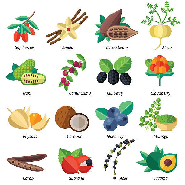 Set of superfood fruits, vegetables, berries, nuts and seeds. Set of superfood fruits, vegetables, berries, nuts and seeds. Vector collection of healthy detox natural products. Flat design organic food ingredients. superfruit stock illustrations