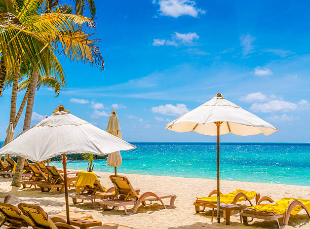 istock White sand beach in Maldives 637231050