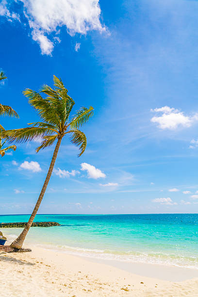 istock White sand beach in Maldives 637231094