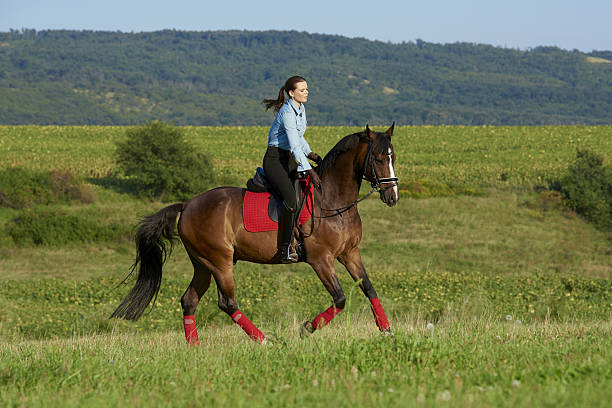 istock Beautiful woman on a horse 637233622