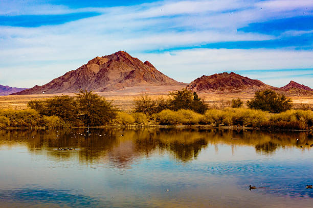 istock Las Vegas Wetlands 637235016