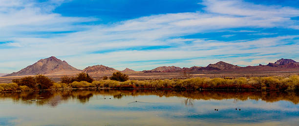 istock Las Vegas Wetlands 637235034