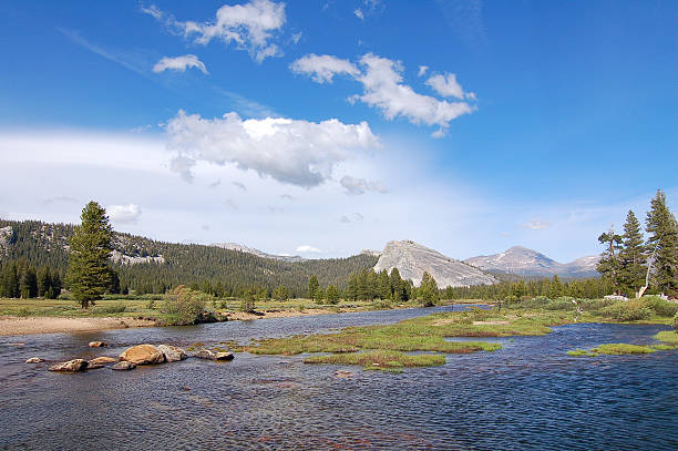 istock Variety in the Yosemite Nationalpark 637235038