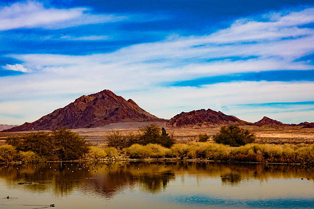istock Las Vegas Wetlands 637235056