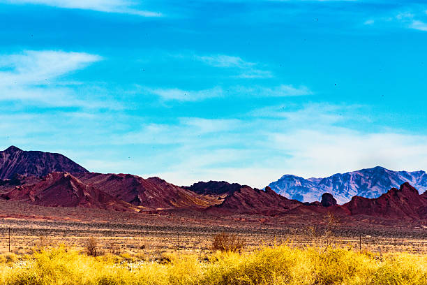 istock Las Vegas Wetlands 637235160