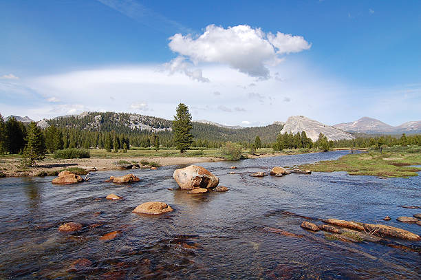 istock Yosemite Nationalpark shows the best side 637235448