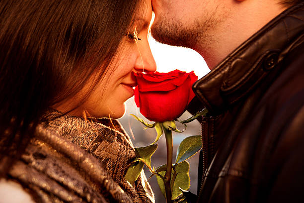 amorous guy gently kissing his girl with red rose - rose rosé women valentines day imagens e fotografias de stock