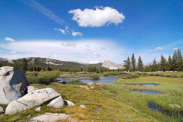 istock Real Nature in the Yosemite Nationalpark 637237212