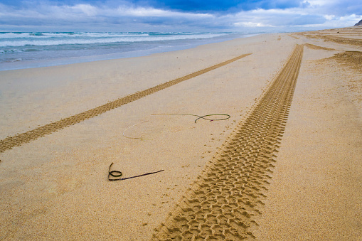 Australia sand beach landscape