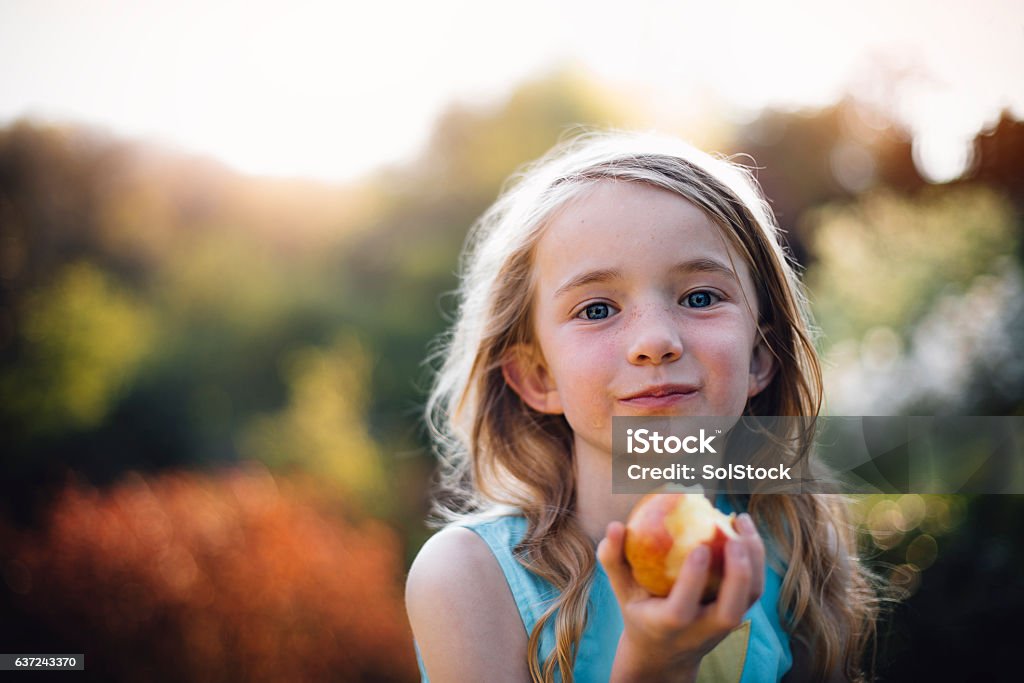 An Apple a Day Keeps the Doctor Away Little girl eating an apple. She is outdoors and looking at the camera, with apple juice on her face. Child Stock Photo