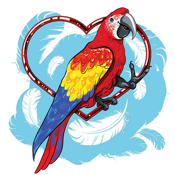 Vector illustration of colorful red parrot with blue wings