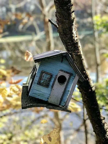 A blue birdhouse in the forest with a depth of field effect