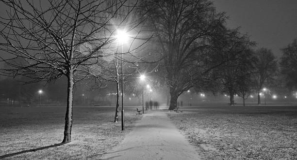 istock Eel Brook Common In Fulham, London, In The Snow 637248154