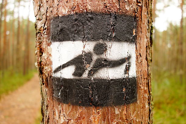 istock Hiking trail sign 637249858