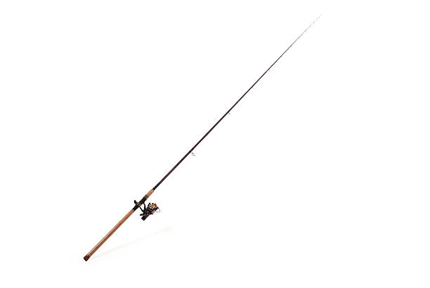 Carp feeder fishing rod Carp feeder fishing rod in full size image (with the coil) isolated on white background with soft shadow. Clipping path fishing rod stock pictures, royalty-free photos & images
