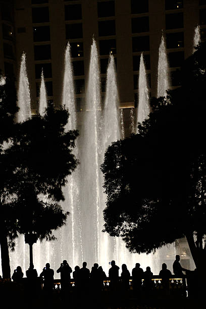 istock Night view of the fountain 637251630
