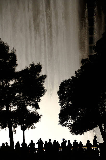 istock Night view of the fountain 637251728