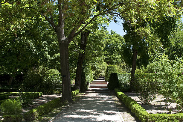 real jardín botánico, madrid, españa - jardín botánico fotografías e imágenes de stock