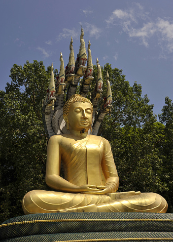 Buddha figure and protective Naga at the wat chak Yai buddha park, Phliu, chantaburi, thailand.
