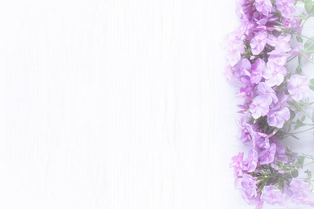 istock frame of flowers, background white boards 637258974