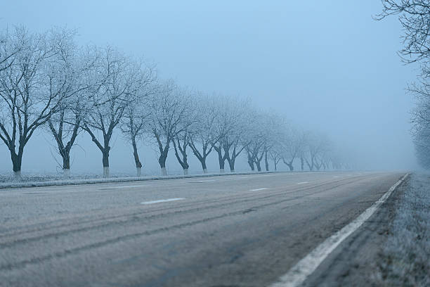 Empty winter road on foggy morning