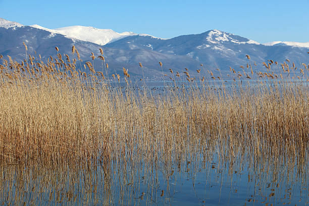 istock lake prespa in macedonia in winter 637261328