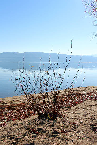 istock lake prespa in macedonia in winter 637261874