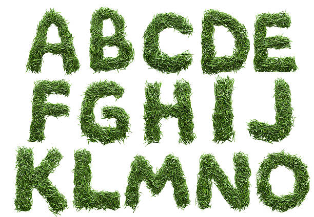istock alphabet made of green grass isolated on white 637262298