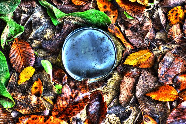 Fallen colorful autumn leaves and a rusty can on the ground